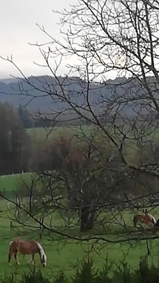 Lichtenhainer Hof Lichtenhain  Esterno foto