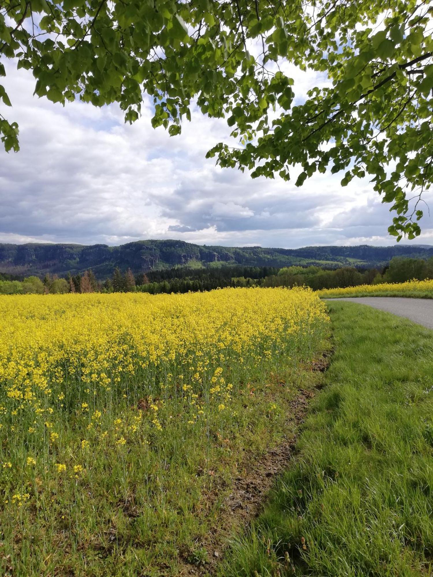 Lichtenhainer Hof Lichtenhain  Esterno foto